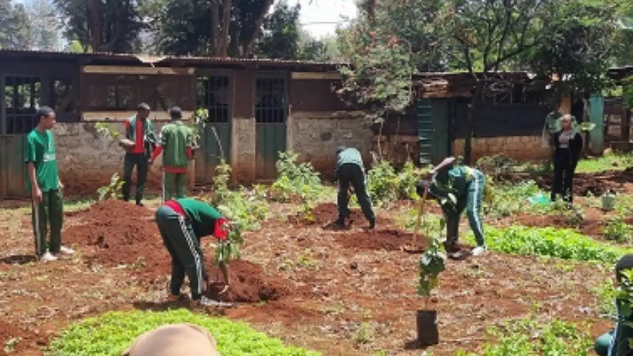 Students tending the school environmental garden